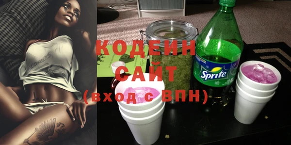 дурь Лабытнанги
