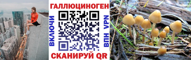 купить закладку  Магадан  blacksprut как зайти  Галлюциногенные грибы MAGIC MUSHROOMS 