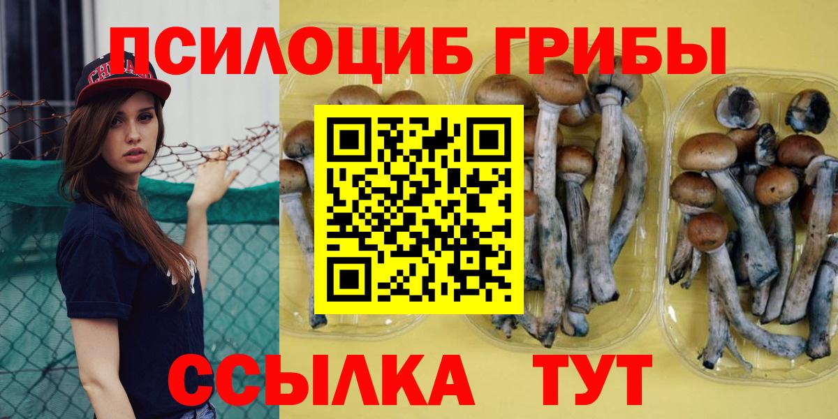 Псилоцибиновые грибы Magic Shrooms Магадан