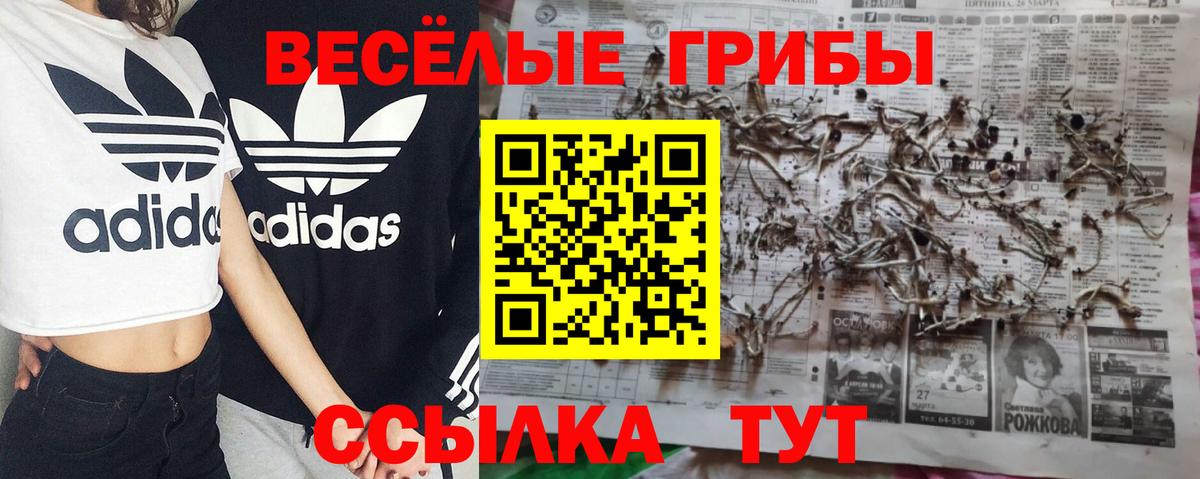 Магадан  Псилоцибиновые грибы мухоморы  Вход с VPN 