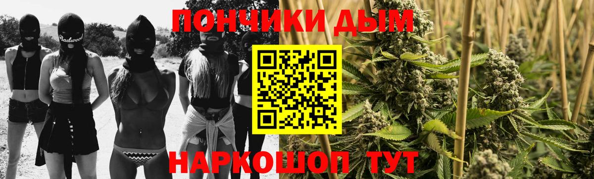 МАРИХУАНА сатива Магадан